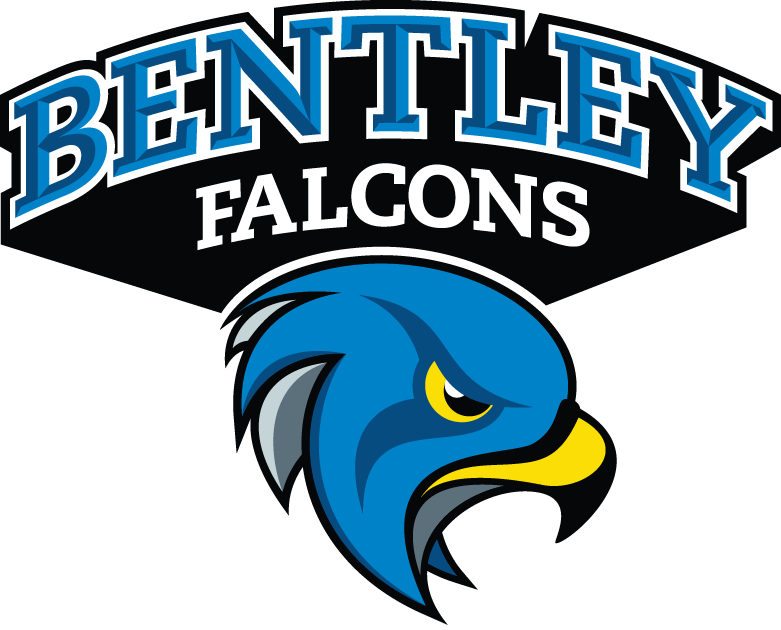 Bentley Falcons 2013-Pres Secondary Logo t shirts DIY iron ons